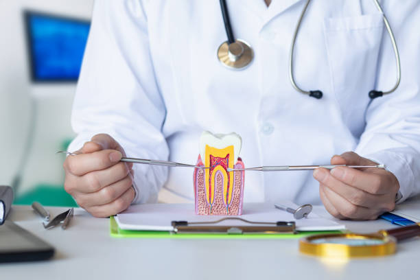 Best Broken or Cracked Tooth Emergency Dentist in Haskell, OK